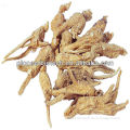 100% Natural Angelica Sinensis Extract From ISO/GMP/HACCP Manufacturer